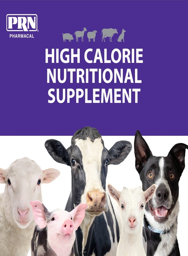 PRN Pharmacal STAT - High Calorie Nutritional Supplement to Help Restore Hydration & Nutrition Levels in Animals - Vanilla Flavored Dietary Support with Vitamin A, D3, C, E, & More - 16 Fl Oz - Image 4